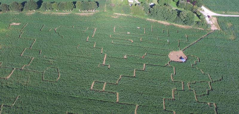 Labyrinthe de maïs de Quedillac