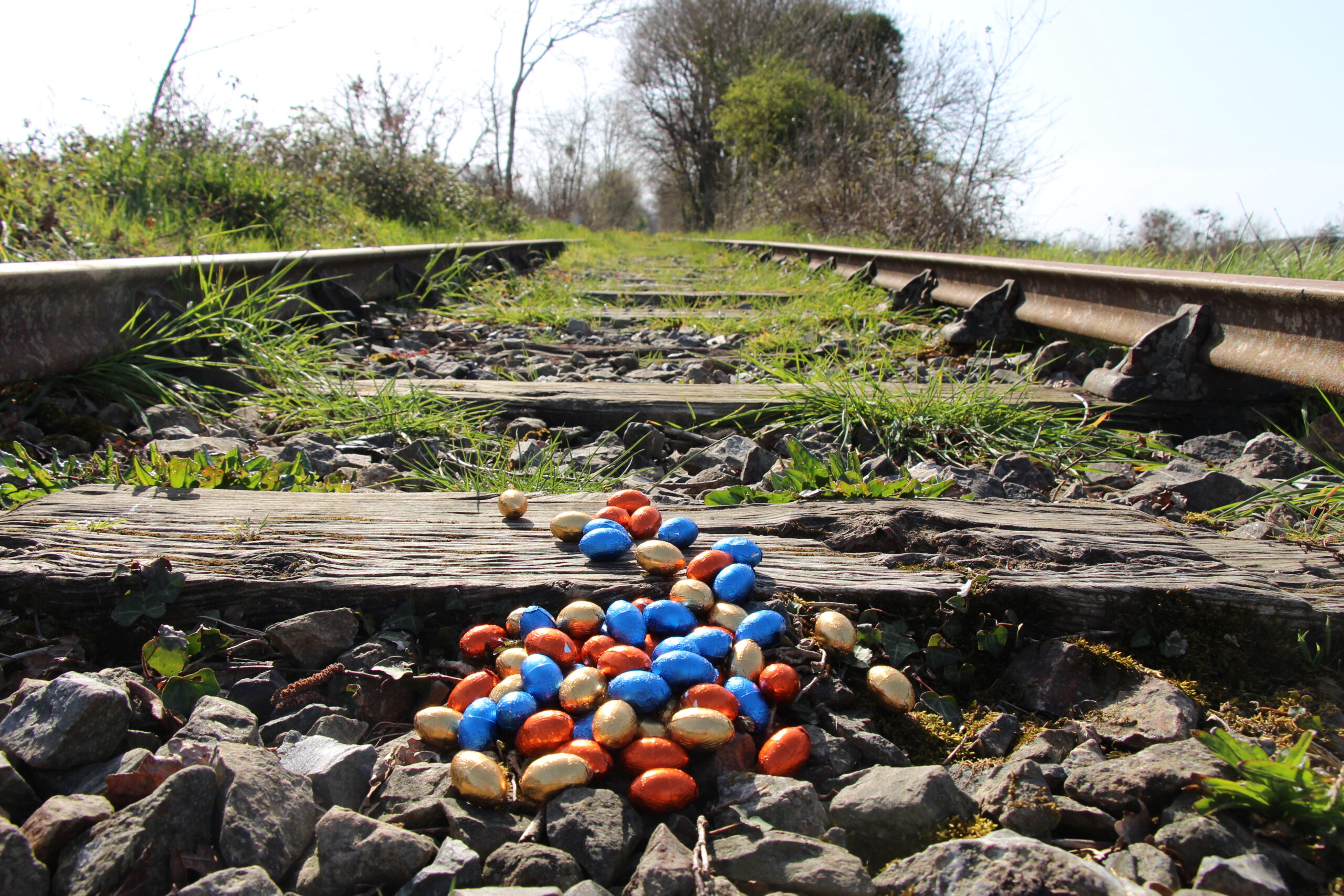 Chasse aux œufs vélo-rail